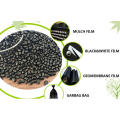 PE Noir Masterbatch / Plastic Pellets Prix pour la vente